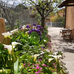 ”CaSanBartolo” between the sea and the park with courtyard and wifi - Image 2