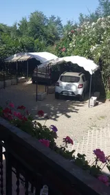 Sunny Beauty - Image 2