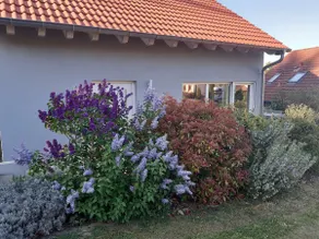 Nuova casa vacanza tra boschi e vigneti nei pressi di Freinsheim - Image 3