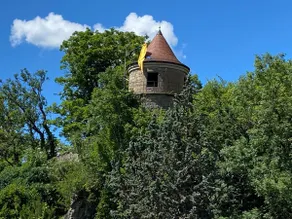 Paradise Tower Gîte - Image 3