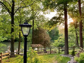 Waterfront getaway *cozy & peaceful*fishing*swings - Image 2