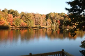 PICTURE Perfect Lake-Front Getaway - Image 5
