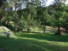 ”In the shade of an ash tree!” - Image 2