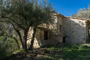 Stone bastide with swimming pool in Lorgues in the Var and a plot of 4000m2 - Image 5