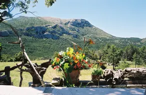 Domaine du Castellas - Image 4