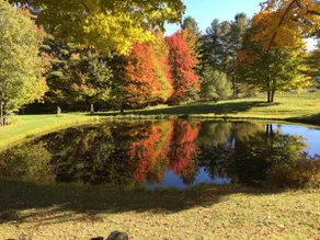 Frog Pond House - Image 2