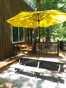 Cozy Pine Country Cabin - Image 4