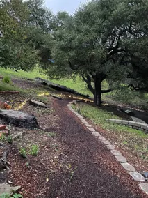 Rustic Cottage *****Hiking & Biking - Image 3