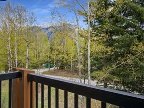 Mountain&Forest View,HotTub,Top Floor 1Bed,Pets Ok - Image 4