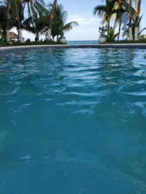 Tams Premium Oceanfront Property - Image 4