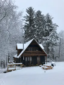 Cabin@Crow Hill: unplug and reconnect with nature - Image 3