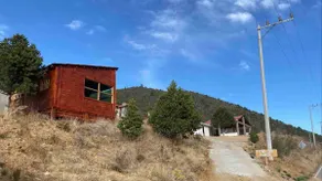 Pinitos Ranch Glamping Cabin #2 - Image 4