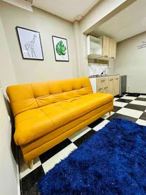 Spacious Studio Apartment (Close to Dorado Airport) - Image 5