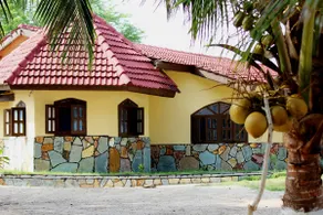 Private Beachfront Home-Ocean View-Total Privacy - Image 4