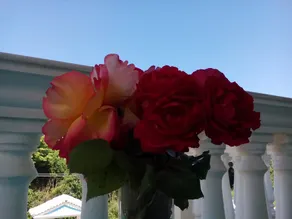 Sissy's Rose Garden apartment - Image 2