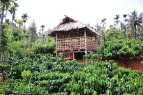 Coffee Garden villa - 2 - Image 3