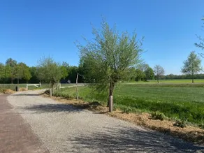 Modernized farmhouse, rural location - Image 4