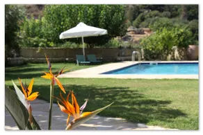 Filippou Villa - Living in Nature - Image 2