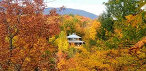 The Pagoda - A contemporary home in the woods - Image 3