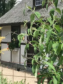 Private guest house on horse farm - Image 5