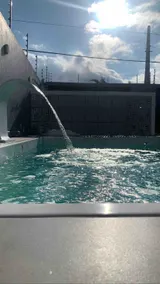 Large house with pool 01- Residencial Bianchi 01 - Image 3