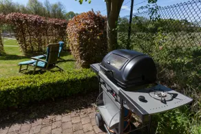 The Hoge Veluwe as a backyard - Image 3