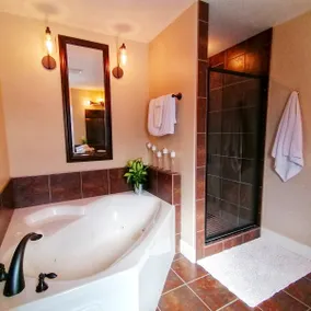 Stylish and comfy 2BR condo near Hot Springs - Image 5