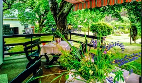FOREST RESIDENCE - Image 4