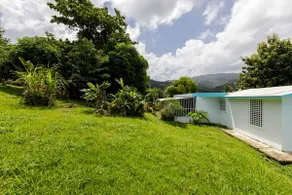 Huge Porch House in Rainforest 15 min from Beach - Image 2