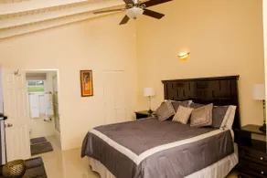 Dream Villa Private Pool Ocho Rios - Image 5