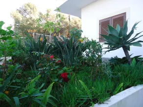 CasaDuarte Courtyard (1 bedroom Apt.) - Image 4
