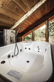 Rustic Cabin on a Ranch - Image 4