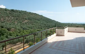 Luxurious Villa Kerezenia with private pool - Image 4