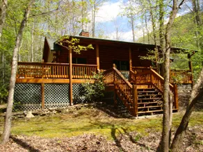 Collett Creek Cabin #1 - Image 3