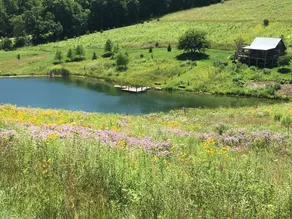 Historic 1800s Cabin Retreat on prairie w/3 ponds - Image 5