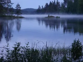 Cabin Basebo at the Countryside! - Image 5