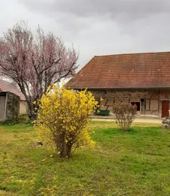 Farmhouse vacation rental in Burgundy. 4/5 P. - Image 3