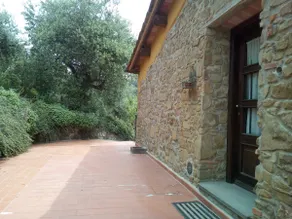 Romantic farmhouse between forest and countryside - Image 4