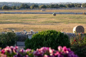 Ariabbona: Countryside, Sea, Modica, Scicli (Unesco) - Image 3