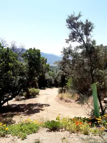 bungalow surrounded by nature - Image 2