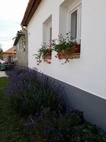 Helló Bogács - Image 2