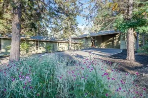 Edgecliff MCM - Image 5