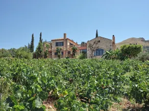 Culinary Family Villa Experience | Zakynthos - Image 5