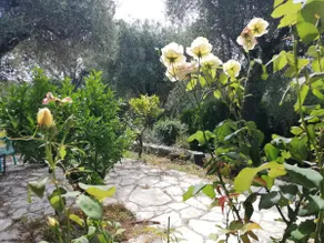Beautiful 3 rooms in a quiet Provencal villa - Image 3