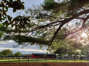 Legacy Cottage... A place to unwind and unplug! - Image 5