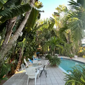 Orchid Cottage - Image 4