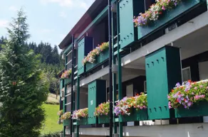 Black Forest apartment with panoramic views and pool - Image 3
