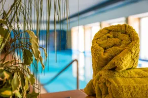 MOOKI Mountain & Pool Apartment Gerlitzen - Image 4