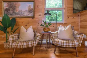Spring Escape - Cozy Cabin + Hot Tub near Parkway - Image 3