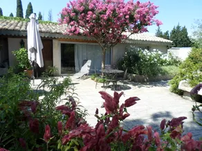 Les grands pins - Image 2